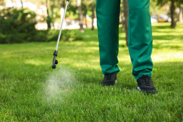 Best Pest Control Near Me  in Mineville, NY