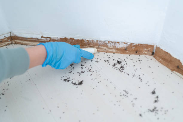 Best Commercial Pest Control Services  in Mineville, NY