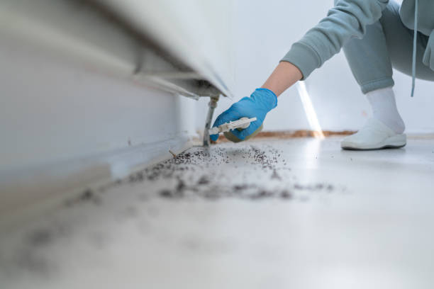 Best Residential Pest Control  in Mineville, NY